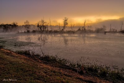 1108_6062_0_1.jpg