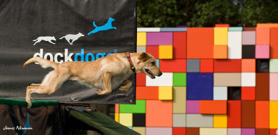 0628_DockDogs_4642.jpg