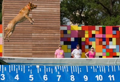 0628_DockDogs_4754.jpg