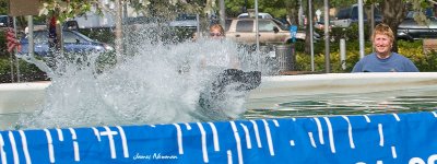 0628_DockDogs_4766.jpg