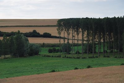 Countryside colour