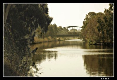 Yarkon River.jpg