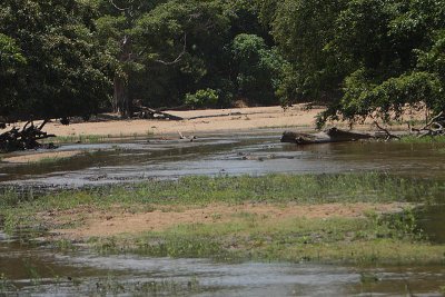 Kumbukkan oya river