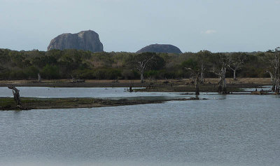 Elephant Rock