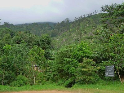 Hunas Falls Hotel trails.