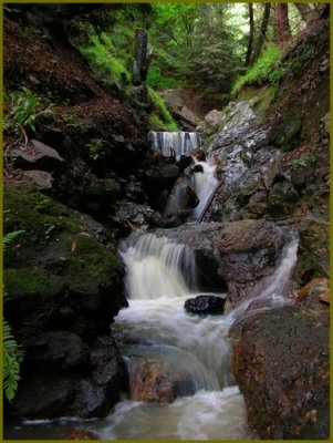 Waterfall Cascade