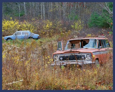 DSC00145-Parkin-B.jpg