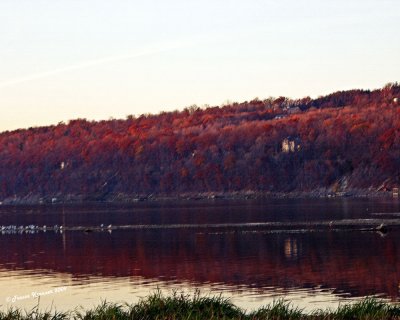 g5/92/910492/3/119355378.71TFQKeW.jpg