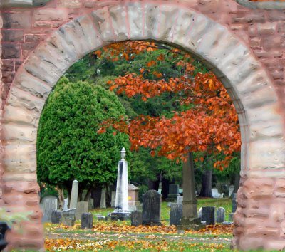 Autumn in the Fingerlakes October 30, 2009