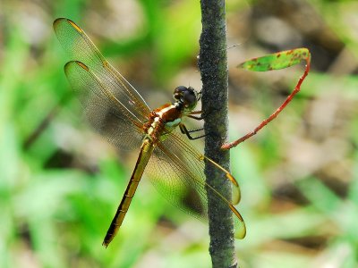 LND_0701a.jpg