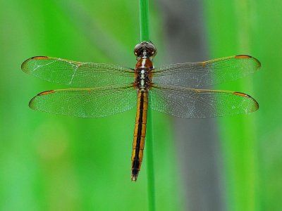 LND_0875a.jpg