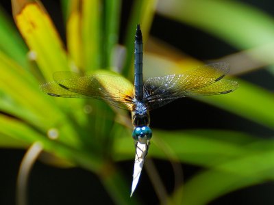 LND_1110a.jpg
