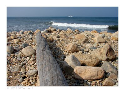 Montauk Point State Park