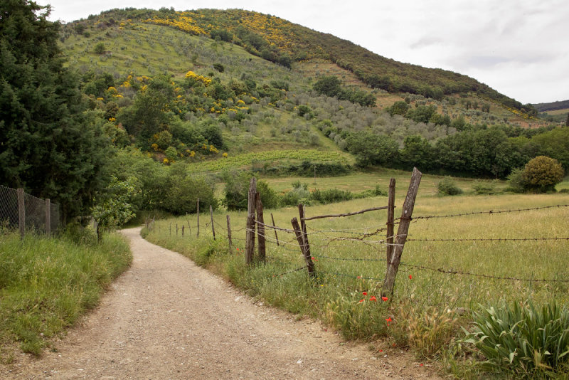 AMC_DP1_080524_3683.jpg