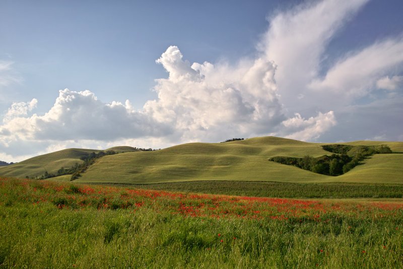 AMC_DP1_080523_3524.jpg