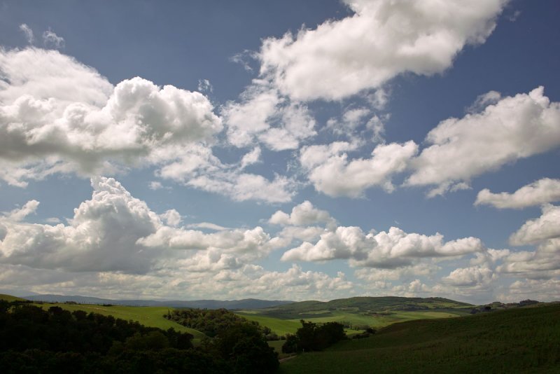 AMC_DP1_080521_2981.jpg