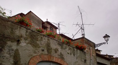 AMC_DP1_080520_2741.jpg