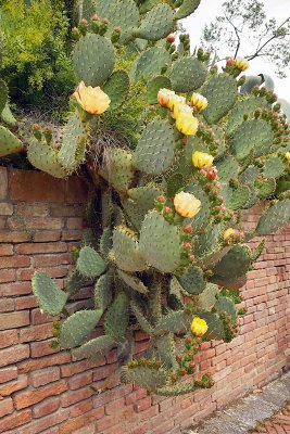 AMC_DP1_080525_3816.jpg
