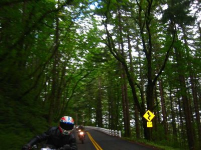 IMG_3540.jpg