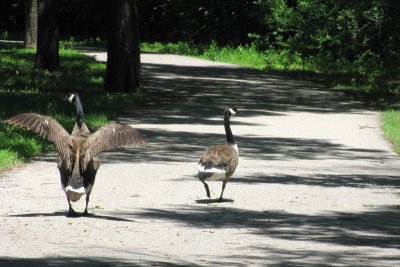 Wichita Bike Rides 25.jpg