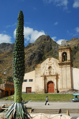 Statue of a Century Plant, Plaza Bolognesi
