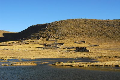 Wetlands alongside the road