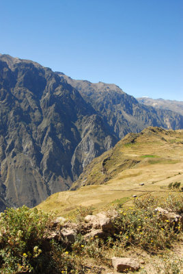 Colca Canyon