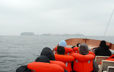 g5/93/329493/3/101001272.HTvo1JUe.jpg
