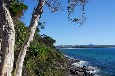 Looking west along the Coastal Track, Laguna Bay, Noosa National Park