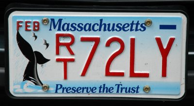 Massachusetts license plate - Preserve the Trust (whales)