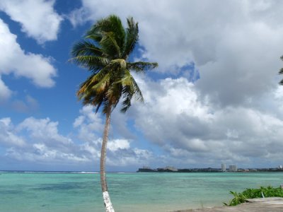 Blue water and palm tree along the coast at Hagta