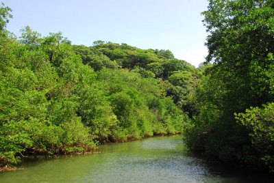 Ngerdorch River, Babeldaob, Palau