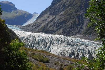 Fox Glacier & Franz Josef