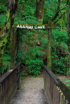 Nearby is Aranui Cave