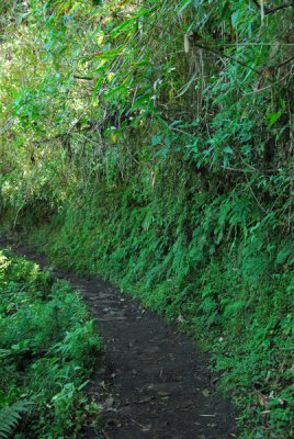 Inca Bridge trail