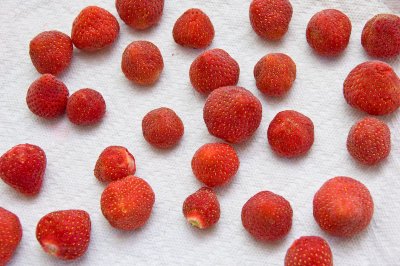 Frozen strawberries