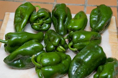 12 poblano peppers