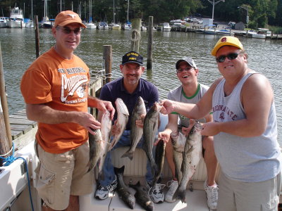 10/4/2006 Redinger Crew shows off a nice limit of Stripers caught onboard the Down Time with Capt Frank Tuma