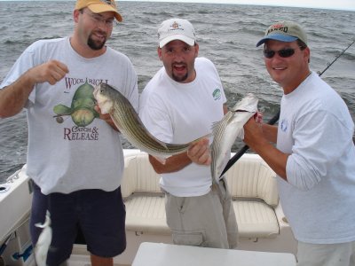 8/10/2006 - Dobry crew braggin on some Rock caught onboard the Down Time with Capt. Frank Tuma