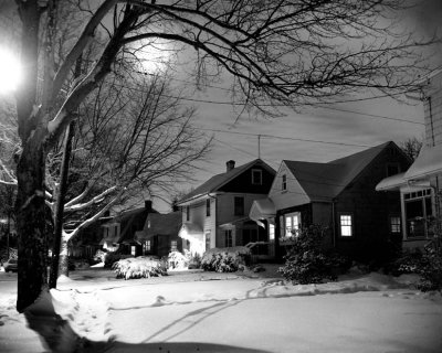 Moonlit Snow