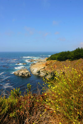 Colors of the Pacific Coast