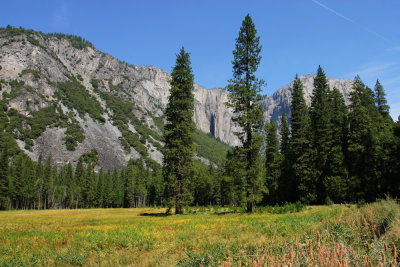 Yosemite