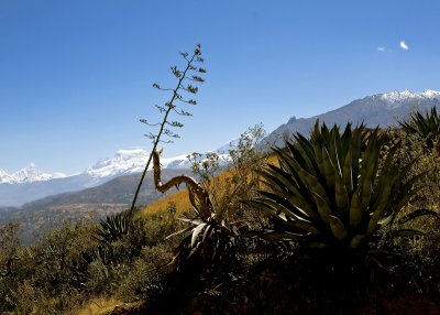 Above Huaraz