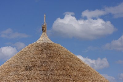 IMG_6438.JPG