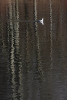 IMG_0424.JPG