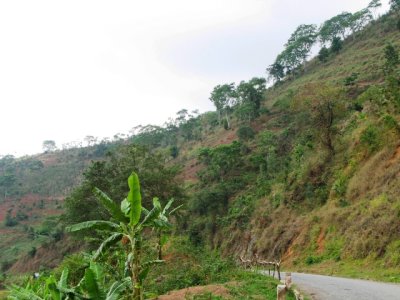Road down to Lake Tanganyika
