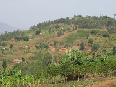 On the way to Nyungwe Forest