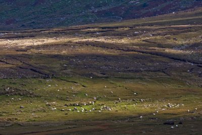 irland_34.jpg