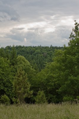 kleinesLautertal_03.jpg