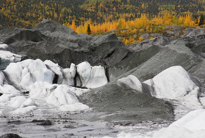 Matanuska Glacier & Fall Colors